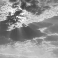 Field notes from TM's final days