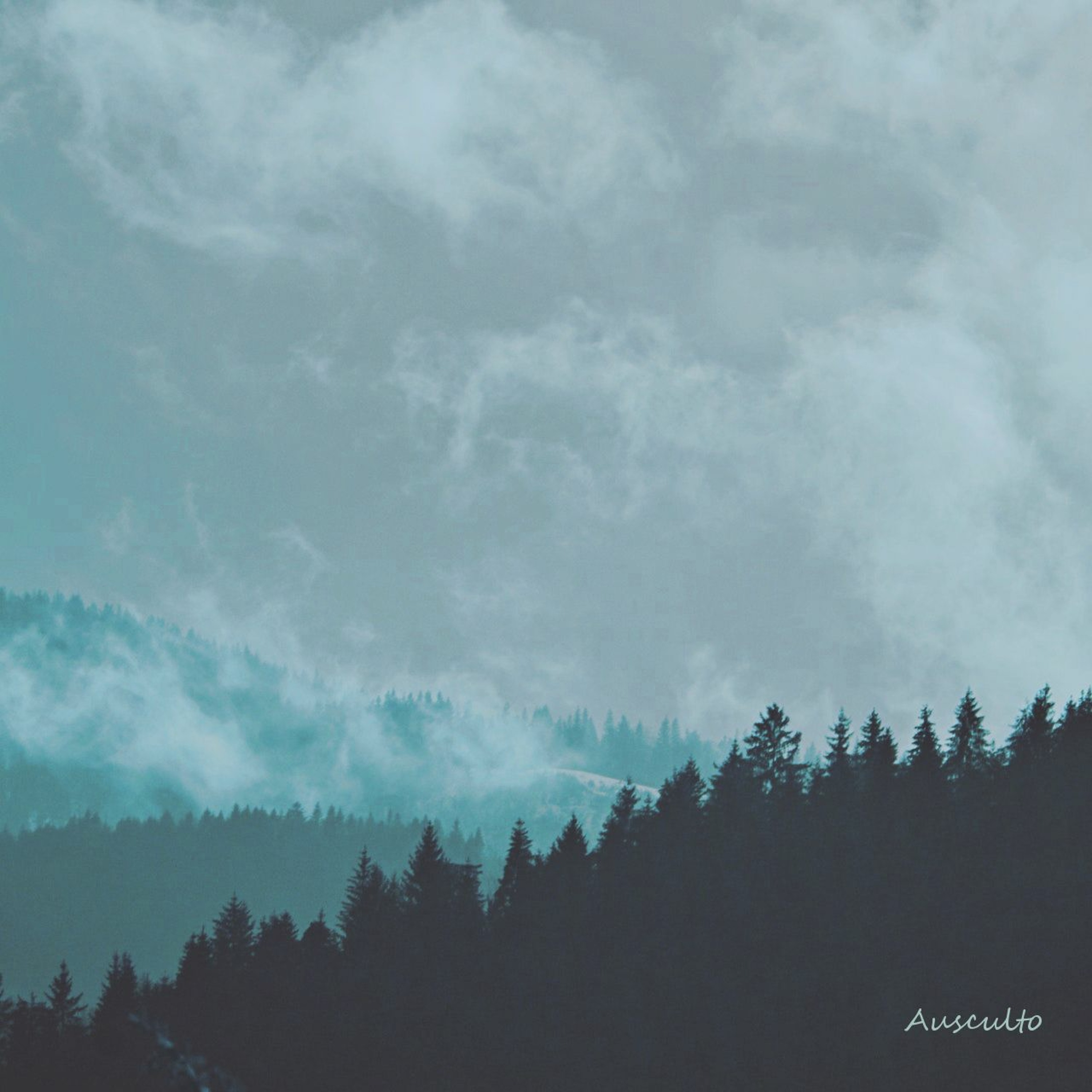 Ausculto episode artwork