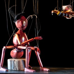 Marionette Insect Circus Theme