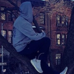 You Will Be Found ft. Sean Biopcik (Cover)- 2019