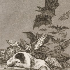The Sleep Of Reason Produces Monsters