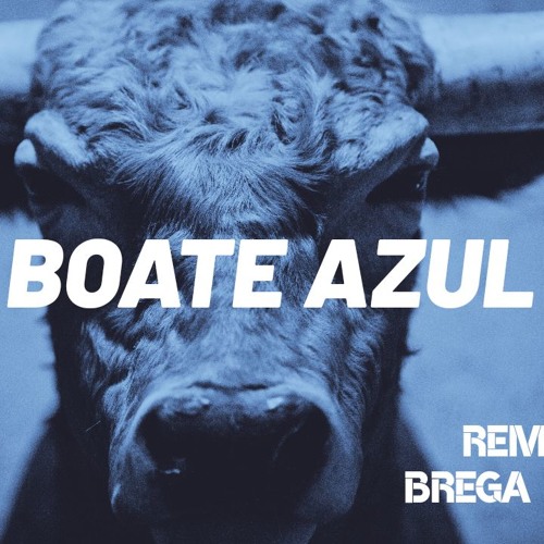 Boate Azul - BREGA FUNK REMIX - Cachorrão Do Brega (FZIRO DJ)