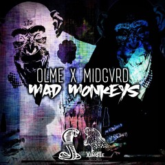 JEN028: OLME X MIDGVRD - MAD MONKEYS (Main Mix) [JEN PREMIERE]