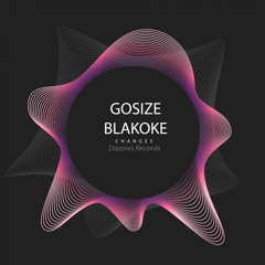 DZR2099 : Gosize & Blakoke - Changes (Original Mix)
