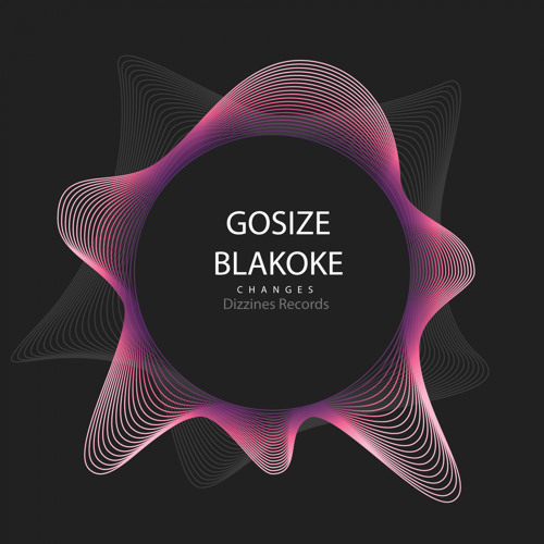 DZR2099 : Gosize & Blakoke - Changes (Original Mix)