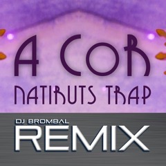 A Cor REMIX - Natiruts | Prod. Rick Brombal
