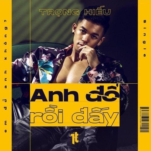 Anh Đổ Rồi Đấy - Trọng Hiếu