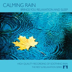 Calming Rain