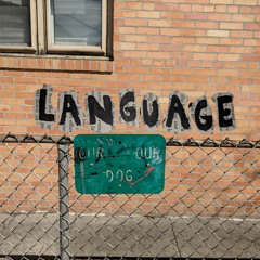 euphemisms -- language EP out now on limited 10" blue vinyl