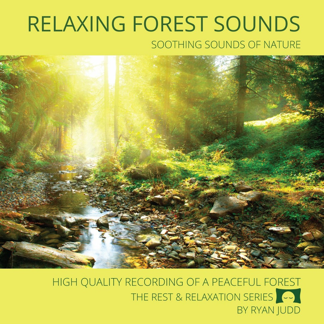 その他 Forest Relaxation [DVD] Forest Relaxation [DVD] 【公式通販】