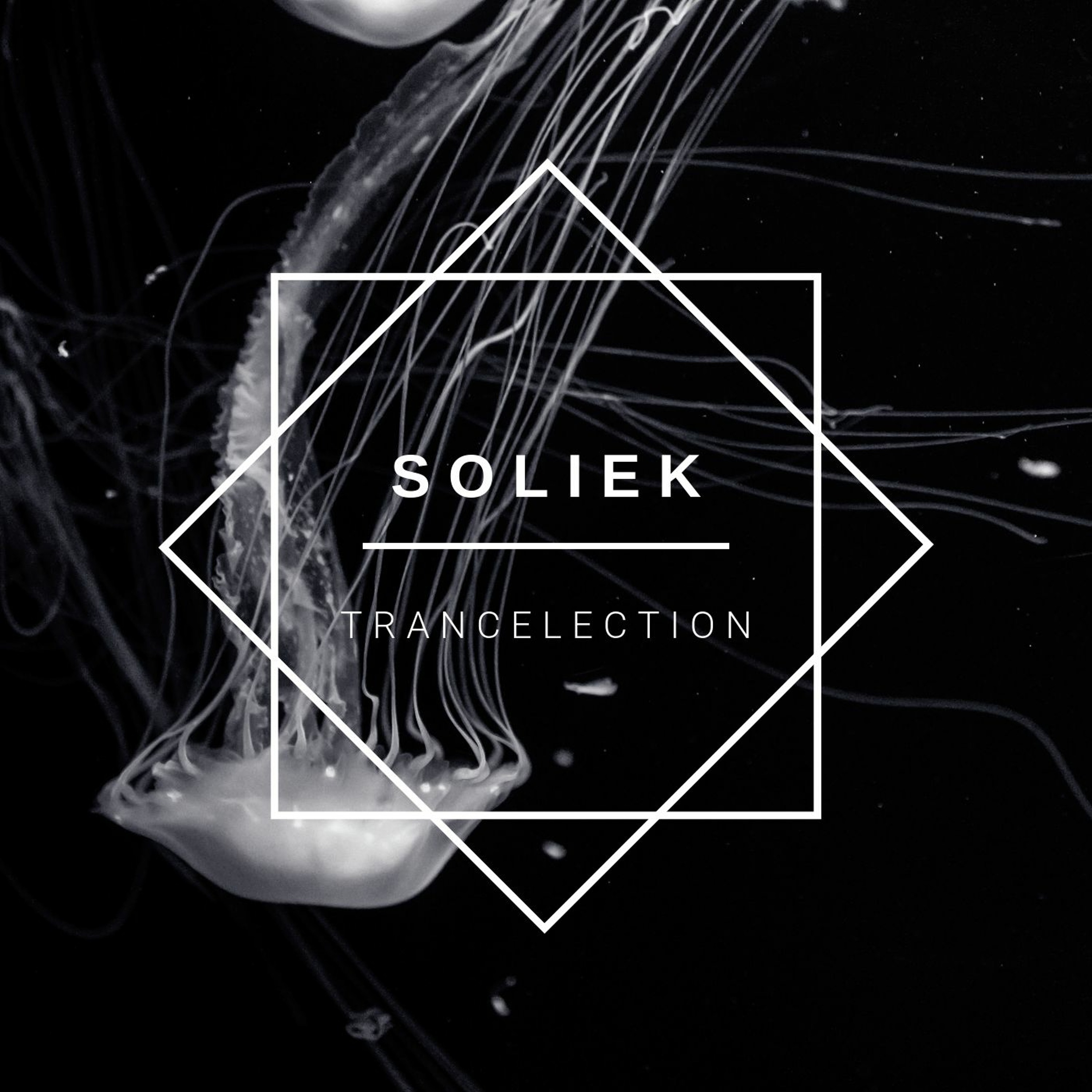 SOLIEK