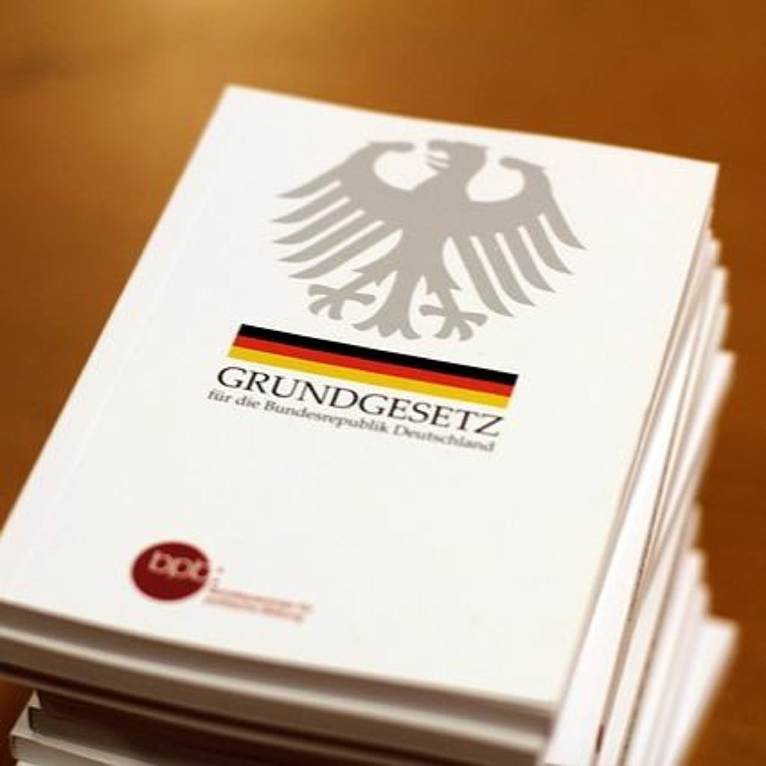 POLITISCH BILDET