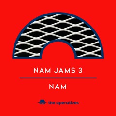 Nam Jams 3 by Nam