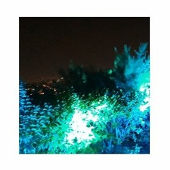 Intro  _  Festa da Casa da Cerca 2019