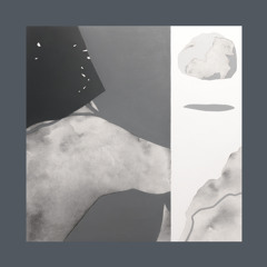 PREMIERE: Søren Laga – Nekta [ Radikon ]