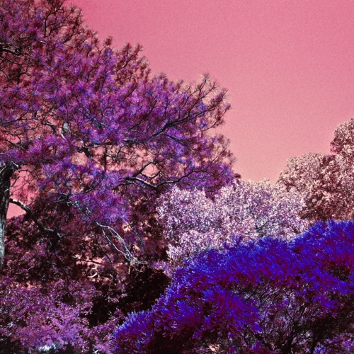 Tom Trago - Saudade (Main Mix)