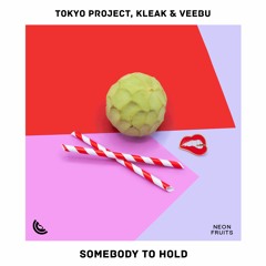 Tokyo Project , Kleak & Veebu - Somebody To Hold