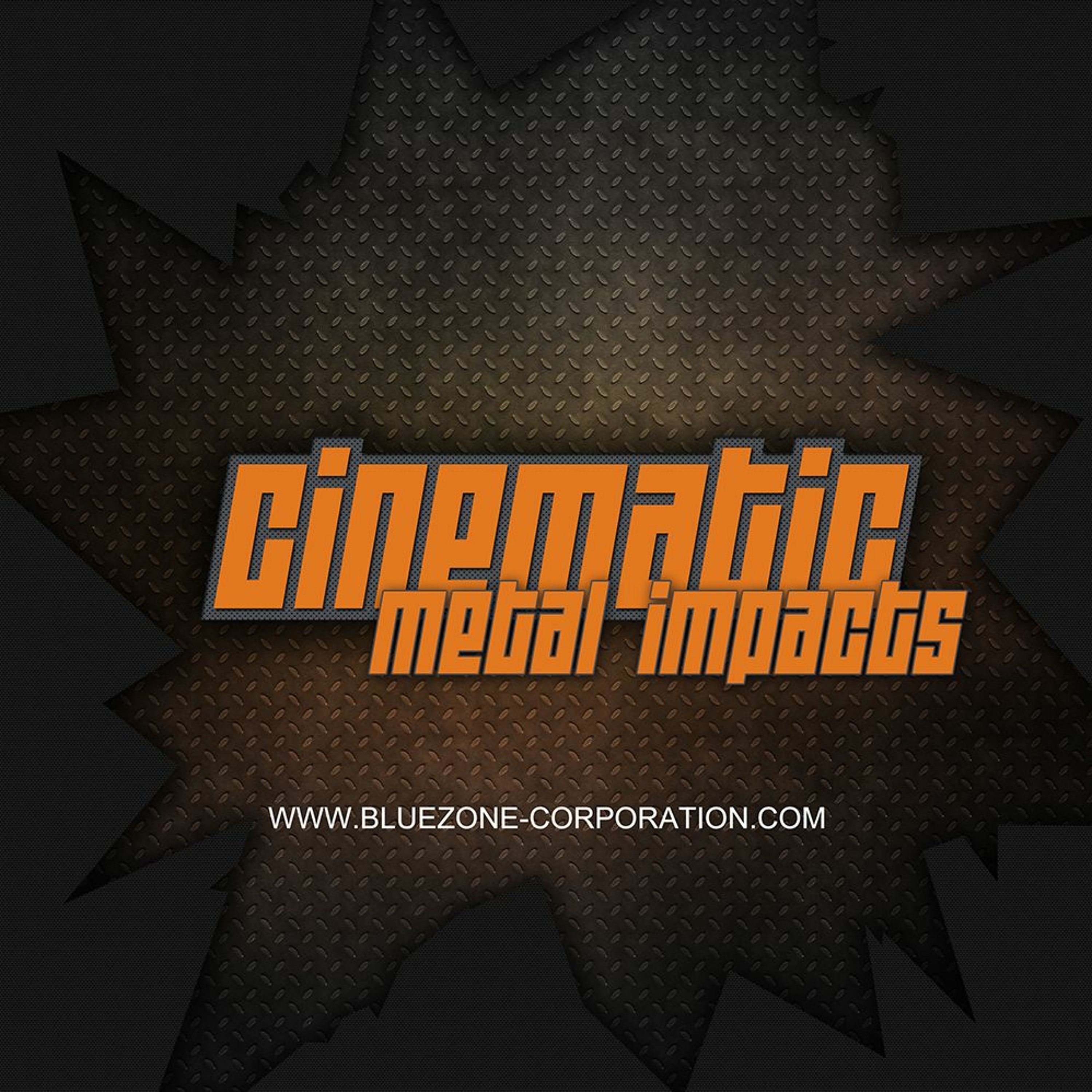 Bluezone Corporation