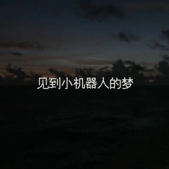 见到小机器人的梦
