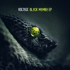 Voltage - Bad Boy Selection