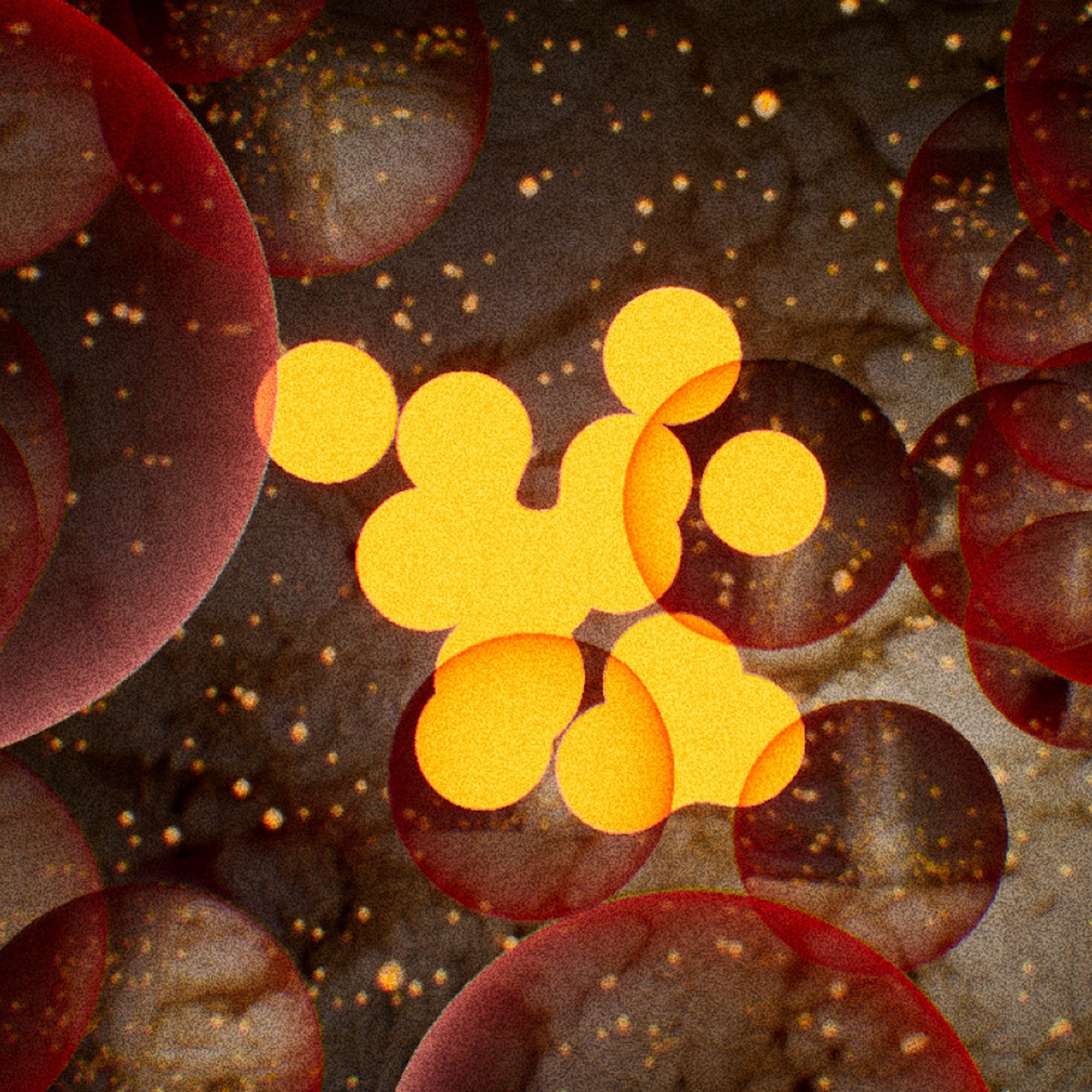 Quantum Natives