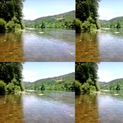 La mare aux grenouilles