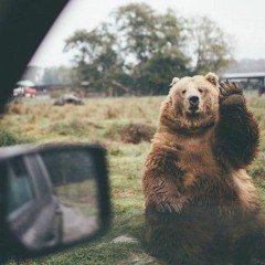 MIDIBlack - ТРОН - Kissvk.com