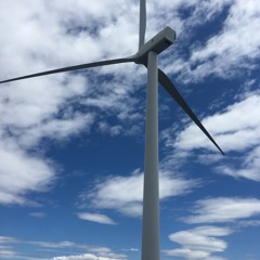 Walk In The Park - Beach House