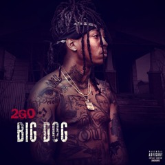 Wallway 2go - Big Dog