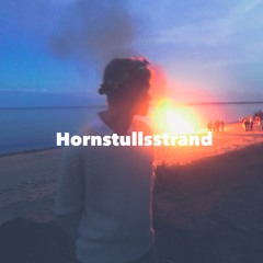 Hornstullsstrand Hov1 Cover // Anton Sandén