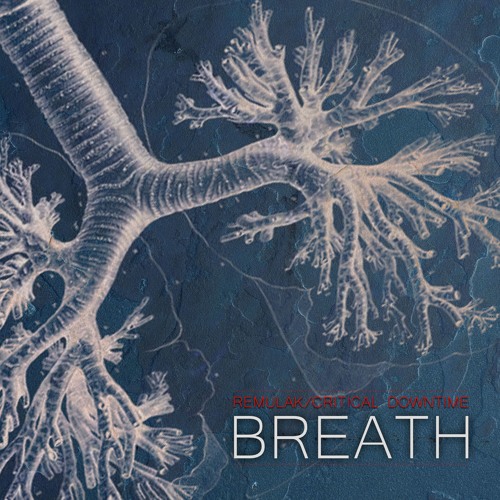 Remulak & Critical Downtime - Breath