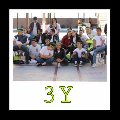 3Y
