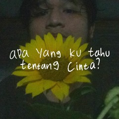 Apa Yang Ku Tahu Tentang Cinta?