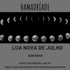 Lua Nova de Julho - Como nos beneficiar dessas energias?