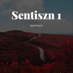 Sentiszn 1