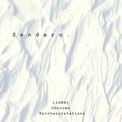 UNKNOWN REINTERPRETATIONS [LTD001]