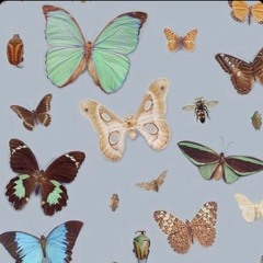 Vercetti* (prod. Lou beats)