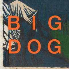 Big Dog