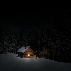 Shelter (Birdy/The XX) Cover