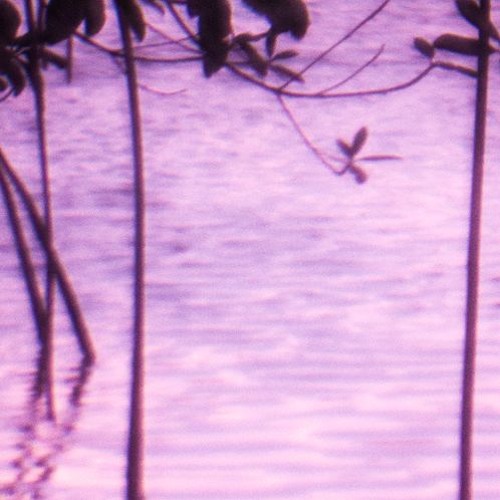 Bryson Ito's Proposal Type Beat