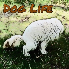 Dog Life