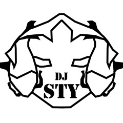 Levels - Avicii (DJ STY Short Remake)