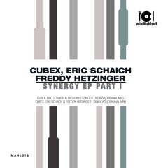 Cubex, Eric Schaich & Freddy Hetzinger - Sickhead (Preview)