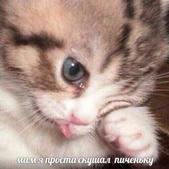 LIL STITCH  -  ШКОЛА ПОКА