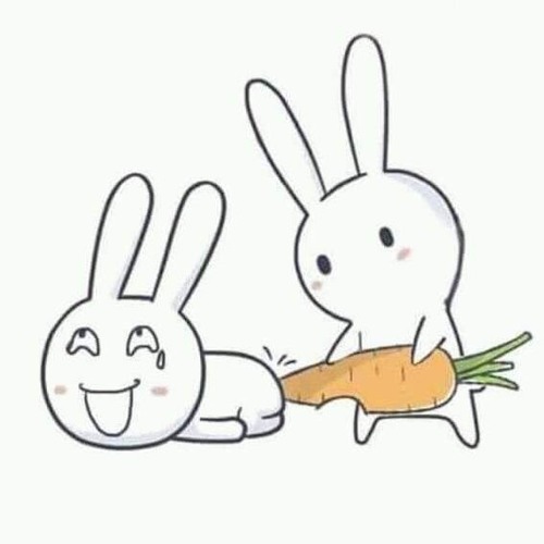 Nhạc Hoa lời Việt bất hủ