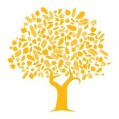 Humanitarian Hub Podcast - Episode 1, Dr. Suda Perera