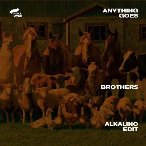 Anything Goes | D.A.F. - Brothers (Alkalino Edit)