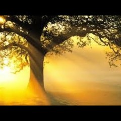 Surah 3ankabut --Sheikh Abdallah Humeid Al Hadhramy