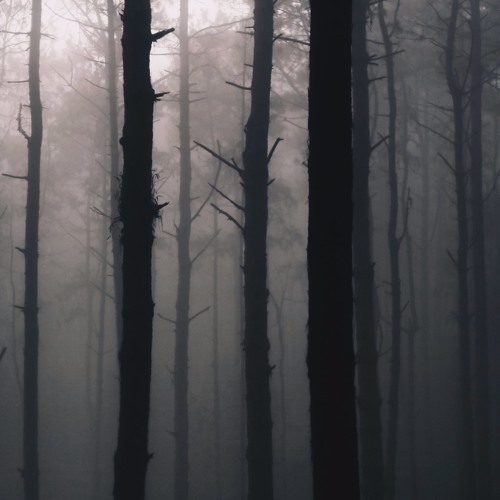 Space Invader - รอ BOWKYLION