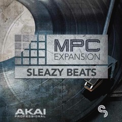 Sleazy Beats Demo Song